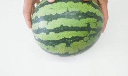 小脆瓜是乳瓜吗怎么吃,乳瓜的别称，美味吃法大揭秘