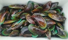 岱嵩吃瓜,揭秘娱乐圈幕后故事