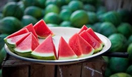 出伏可以吃瓜吗,吃瓜正当时