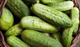 痛风可以吃瓜,合理食用瓜类，助力健康生活