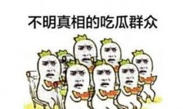 吃瓜教练和学员,吃瓜教练与学员的趣味教学之旅