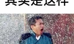 吃瓜洗头,揭秘日常生活中的趣味生活小技巧