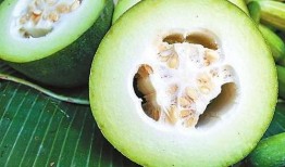 最早的吃瓜图,古风图鉴中的趣味瞬间