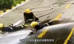 吃瓜吃到家被偷,揭秘生活琐事中的不测风云