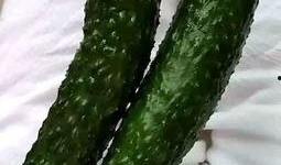 吃货孙小瓜,一场味蕾的狂欢盛宴