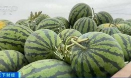 八百万粉丝吃瓜