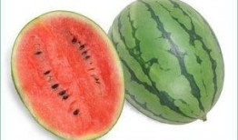 吃毛瓜会过敏吗,了解毛瓜过敏症状及预防措施