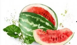 夏天吃甜蜜的瓜,夏日甜蜜瓜果盛宴