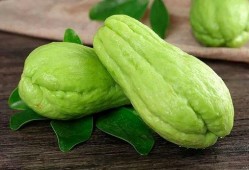 泰安叉六吃瓜,揭秘网络热词背后的吃瓜故事