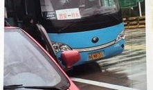 开大巴吃瓜,一场别开生面的旅途体验