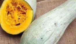 金秘书吃瓜小号,揭秘娱乐圈幕后风云