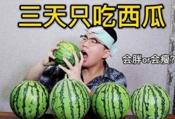 减重期吃瓜,轻松吃瓜，健康瘦身两不误