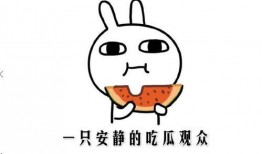 吃瓜吃什么意思,揭秘“吃瓜”背后的趣味与内涵