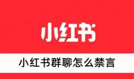 吃瓜群聊小红书,小红书上的热门话题与趣味互动