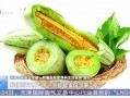 孩子吃蜜瓜好处,孩子健康成长的甜蜜伴侣