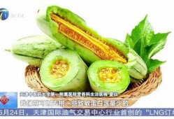 孩子吃蜜瓜好处,孩子健康成长的甜蜜伴侣