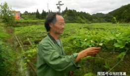 云县李幸吃瓜,吃瓜群众的快乐生活