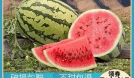 喜悦吃瓜,揭秘快乐背后的秘密