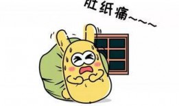 吃瓜群众必备好物,轻松成为社交达人