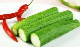 吃毛毛瓜,探寻独特风味与营养奥秘