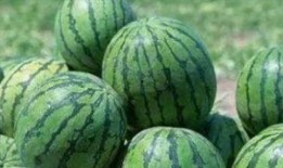 梦见吃绿色瓜很甜,揭秘绿色瓜的神秘寓意