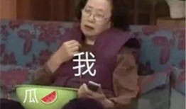 会长吃瓜全集