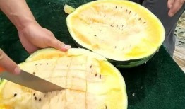劈瓜怎么吃,探索创意吃瓜之道