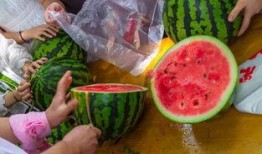 吃瓜视频桑植,揭秘当地特色美食与风土人情