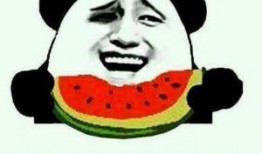 吃瓜群众真实经历,一场吃瓜群众的真实历险