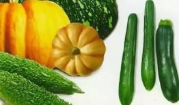 二瓜吃瓜精,揭秘娱乐圈背后的那些事儿