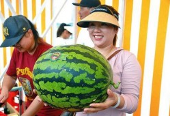 主公吃瓜,揭秘宫廷秘闻