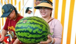 主公吃瓜,揭秘宫廷秘闻