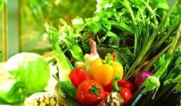 昆明漫展吃瓜,一场吃瓜群众的狂欢盛宴