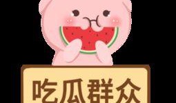 吃瓜群众视频素材,视频素材中的趣味众生相