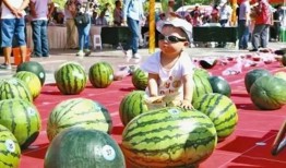 吃瓜王大赛,瓜界风云再起，谁是瓜界霸主？