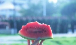 安静吃瓜图,品味生活瞬间