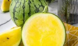 隔夜黄皮瓜可以吃吗,安全食用指南解析