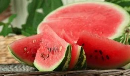 世纪汇吃瓜,揭秘网红打卡地的幕后故事