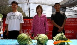 吃瓜大会组,揭秘娱乐圈幕后故事