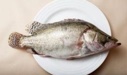 吃八瓜鱼足,一场味蕾的奇幻之旅