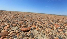 自由吃瓜地基,揭秘网络时代下的娱乐狂欢与社交新趋势