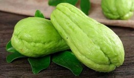 吃吊瓜的禁忌,吃吊瓜需知的禁忌与注意事项