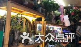 南京花店吃瓜中心,吃瓜中心里的花艺美学之旅