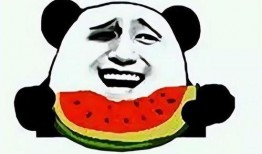 请你吃瓜奇葩歌,揭秘网络热歌背后的奇葩故事