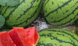 20点吃大瓜,揭秘娱乐圈幕后故事