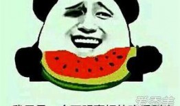 吃瓜吃什么意思,揭秘“吃瓜”背后的趣味与内涵