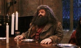 霍格沃茨的吃瓜人小说