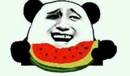 带你吃瓜最新,揭秘带你吃瓜背后的故事与热点事件