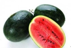 聊城红内裤吃瓜,一场网络吃瓜盛宴背后的真相揭秘