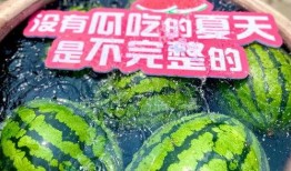 最新吃瓜2024,吃瓜群众揭秘幕后真相